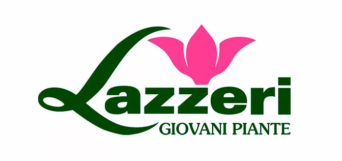 Lazzeri logo