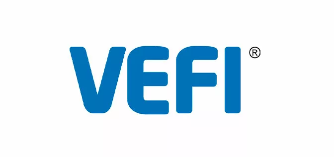 Vefi logo